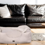 Genova Beige Dogbed anteprima venetian premium dogbed