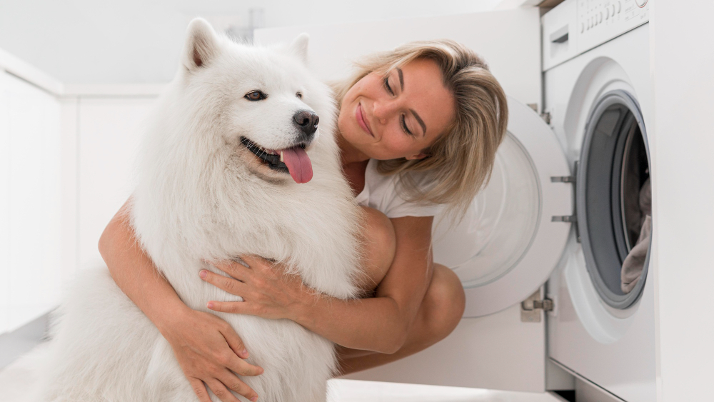 Pet owner maintaining a dog bed by fluffing and sprinkling baking soda to remove odors.