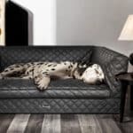 anteprima venetian premium dogbed italy husky dog