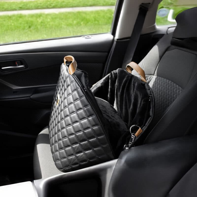 Designer Dog Bags