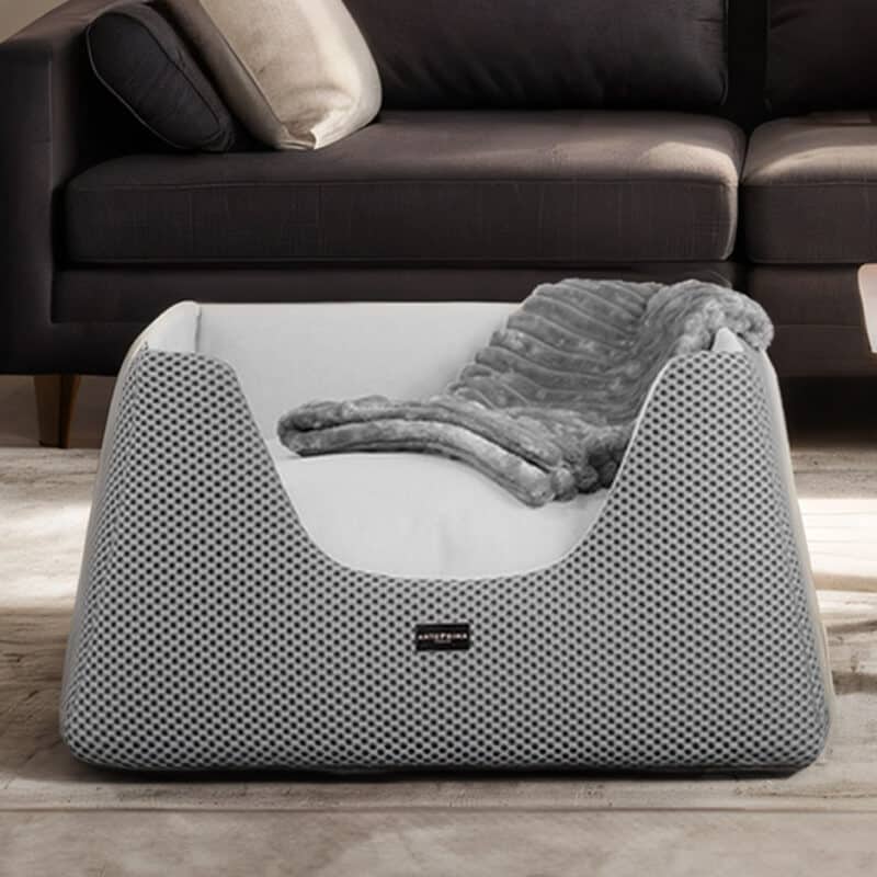 Luxury Dog Beds