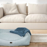 Napoli Dog Bed anteprima venetian premium dogbed