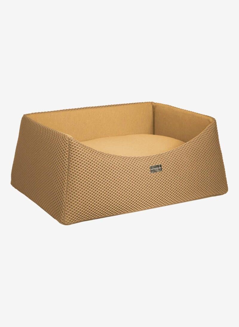 Anteprima dog bed best sale