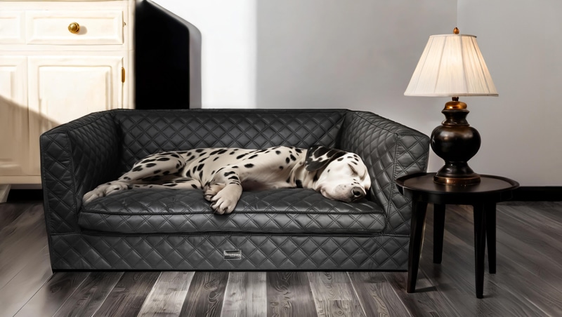 anteprima venetian premium dogbed italy husky dog