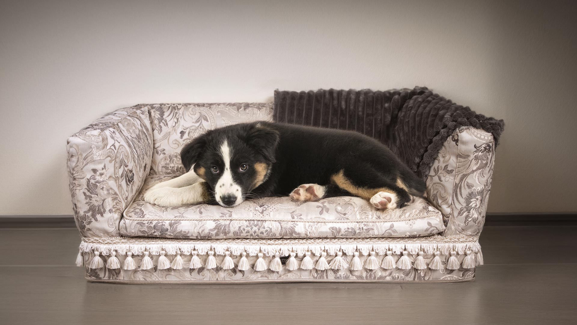 A puppy lying on an elegant, damask-patterned dog sofa with tassel details, blending luxury and comfort in a cozy interior