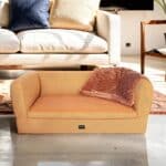 Torino Mustard Sport DogThrone anteprima venetian premium dogbed